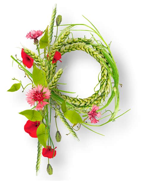 With our free photo editor to create unique cornici fiori images, original icons and custom cornici fiori pictures and display your artistic talents. PAPAVERI IN PNG PER LA TUA GRAFICA, FIORI, CORNICI E COMPOSIZIONI FLOREALI PER PHOTOSHOP E PSP