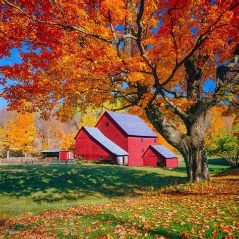 Pin By Faith Joslyn On Fall Foliage Autumn Landscape Red Barns