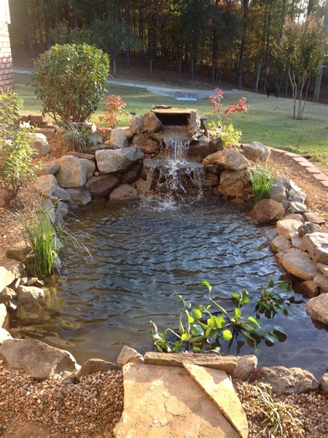 These homeowners have been long time pond hobbyists and enthusiasts. Adding plants to pond | Pond waterfall, Outdoor living, Pond