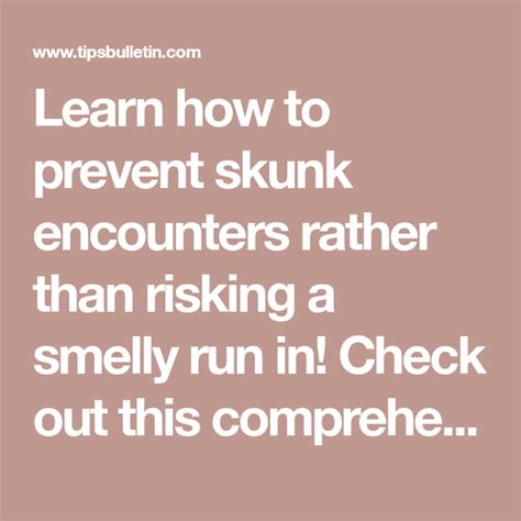 Make sure the skunk is not in the area that you are sealing. 6 Safe & Reliable Skunk Repellent Remedies in 2020 (With ...