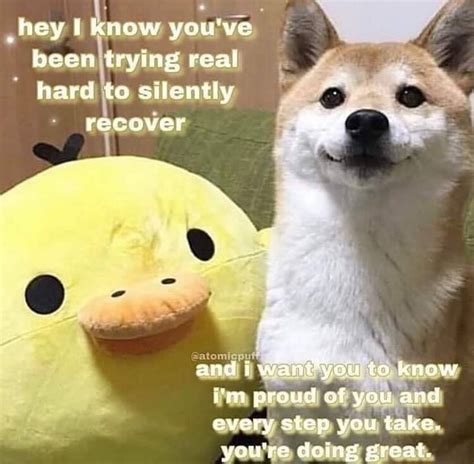 Im Proud Of You Rwholesomememes Wholesome Memes Know Your Meme