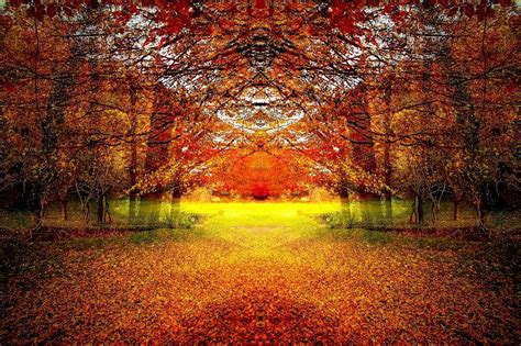 Autumn Landscape Wood Forest · Free Image On Pixabay