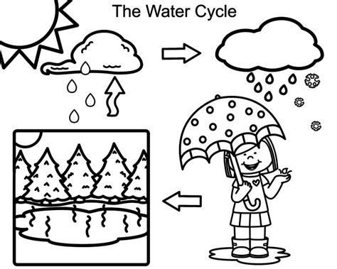 The links to these pages are in the media section below. Water Cycle Coloring Page at GetColorings.com | Free ...