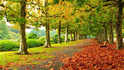Autumn Scenery Wallpapers Pictures Images