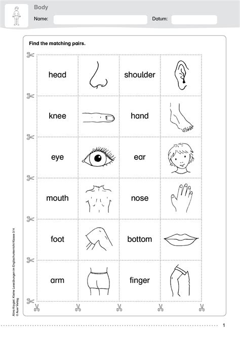 Ein arbeitsblatt, das ich aus dem englischen übersetzt habe. Englisch Fächer Übung / Der vorliegende band eignet sich ...