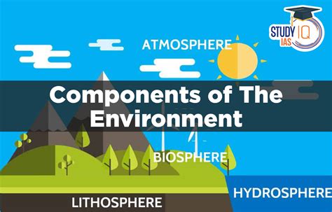 Components Of Environment Biotic And Aibotic Components