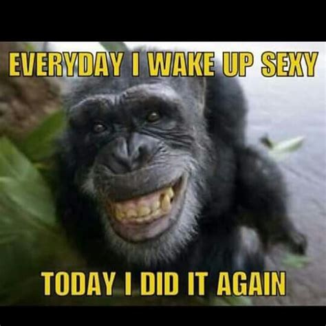 Check spelling or type a new query. The 69 best Monkey board images on Pinterest | Ha ha ...