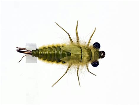 Dragonfly Nymph Fly Tying Fly Fishing Fly Tying Patterns