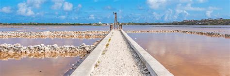 Grand Turk Salt Salinas Visit Turks And Caicos Islands