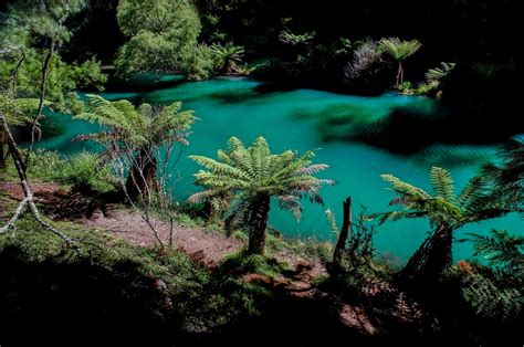 Jenolan Caves Lithgow Tourism Information