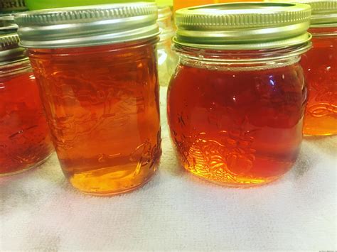 How To Make Homemade Kudzu Jelly Artofit