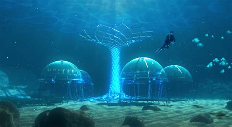 Worlds First Underwater Garden Reopens From The Good News Network