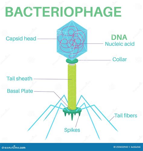Archaea Cartoons Illustrations And Vector Stock Images 382 Pictures To