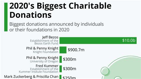 2020s Biggest Charitable Donations Infographic