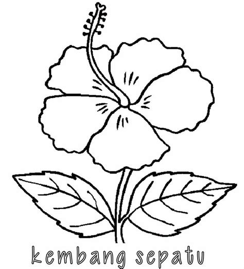 How to draw flower hibiscus cara menggambar bunga raya oil pastel tutorial youtube. Kartun Muslim Hitam Putih | Gambar Kartun
