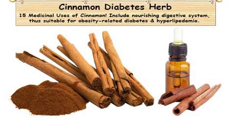 Cinnamon In Diabetes Treatment 15 Medicinal Uses Of Cinnamon