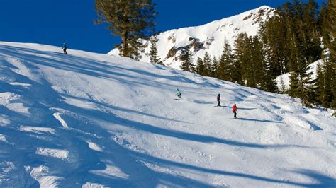 Alpine Meadows Ski Resort In Lake Tahoe California Expedia