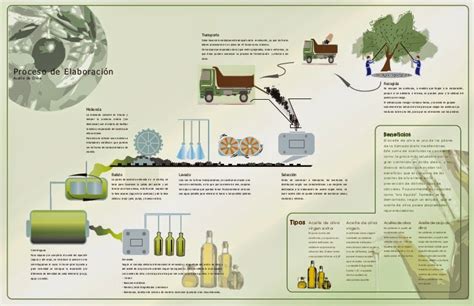 Exportando es gerundio Proceso de elaboración del aceite de oliva