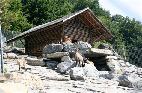 Amazingly, the interlaken line is more than 100 years old, and will lift you in stages through landscapes that almost. Alpenwildpark Interlaken