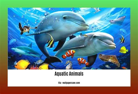 Dive Into The Fascinating World Fun Facts About Aquatic Animals Revealed