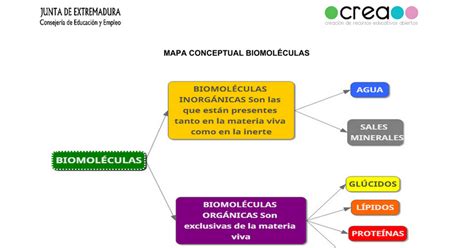 Mapa Mental De Biomoleculas Geno Images The Best Porn Website