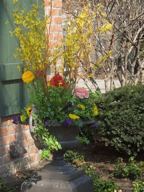 Mar 31, 2021 · springtime baby names relate to the blooming of the season, including flower names as well as names that mean green and names that mean new. The French Tangerine: ~ spring pots | Plants, Flower ...