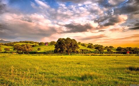 Pasture Wallpapers Top Free Pasture Backgrounds Wallpaperaccess