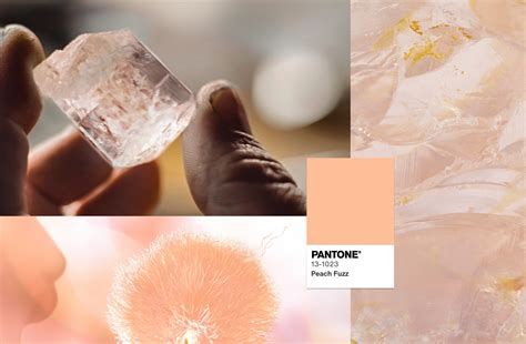The 2024 Color Of The Year Peach Fuzz