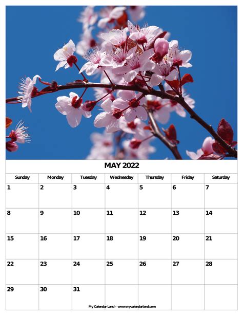 Free Printable May 2022 Calendars Wiki Calendar May 2022 Calendar
