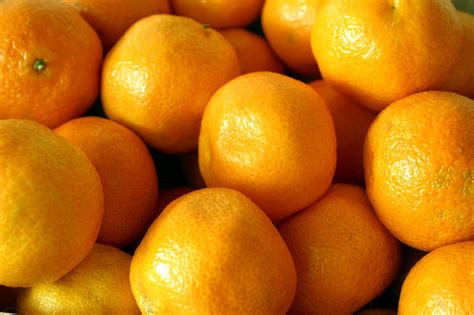 Free Oranges Stock Photo