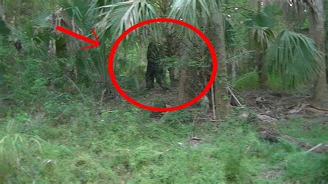 Real Bigfoot Caught On Camera 2014 Real Bigfoot Found