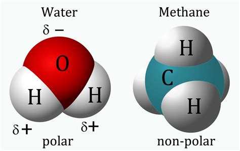 Here's a look at what polar and nonpolar if you know the polarity of molecules, you can predict whether or not they will mix together to form chemical solutions. What kind of life would we find on Titan?