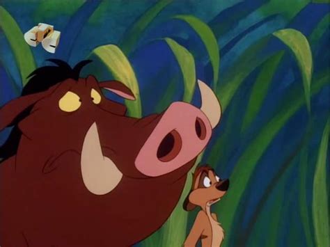 Timon And Pumbaa 1995