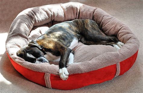 Wraparound Fleece Dog Bed Large Fleece Dog Bed Dog Bed Large Dog Bed