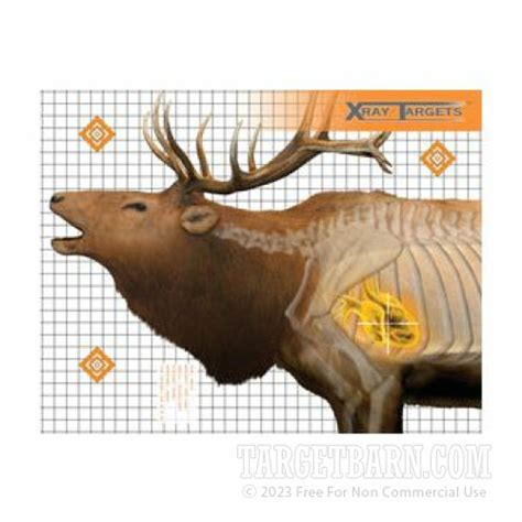 Champion Animal X Ray Elk Hunting Paper Practice Targets For Sale 6 Count