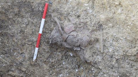 Roman Settlement Unusual Burial Unearthed In England Archaeology