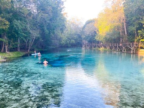10 Natural Springs Near Tampa You Must Visit Florida Trippers