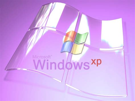 Wallpaper Windows Xp Glass Purple