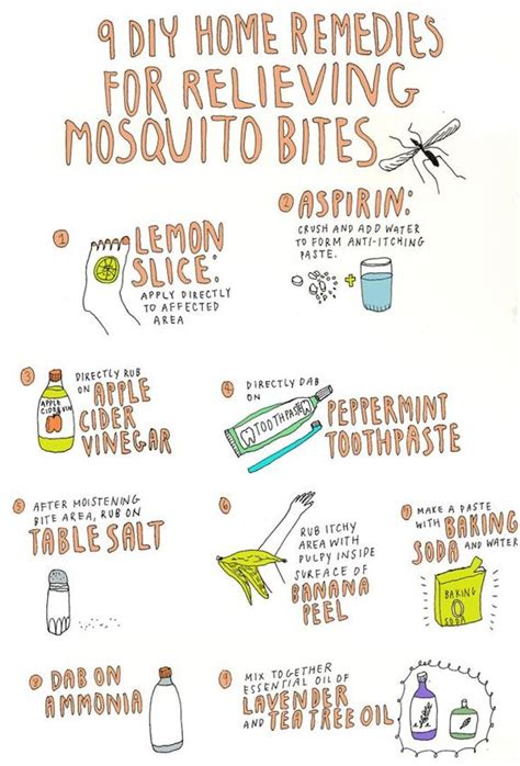 Diy Ways Of Getting Rid Of Mosquito Bites Home Remedies For Mosquito