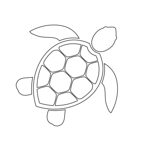 Sea Turtle Outline Illustrations Royalty Free Vector Graphics And Clip