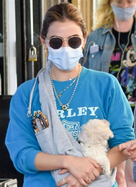You can get to lucy: Lucy Hale Walks Her Dogs Ethel and Elvis in APL TechLoom ...