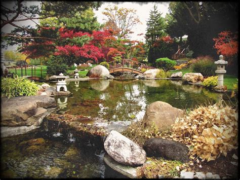 Japanese Water Garden Wallpapers Top Free Japanese Water