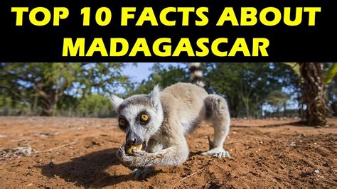Top 10 Facts About Madagascar Youtube