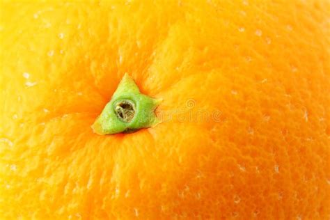 Orange Peel Close Up Stock Photo Image Of Healthy Food 29985740