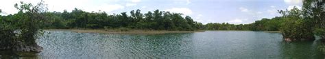 Biodiversity In Belize Five Blues Lake National Park