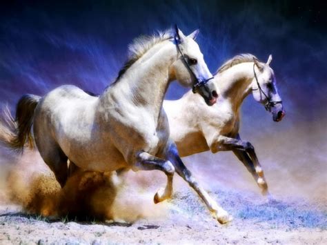 Galloping Horses Download Hd Wallpapers And Free Images