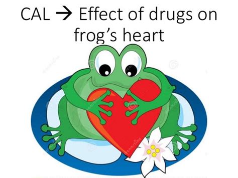 Effect Of Drugs On Frogs Heart