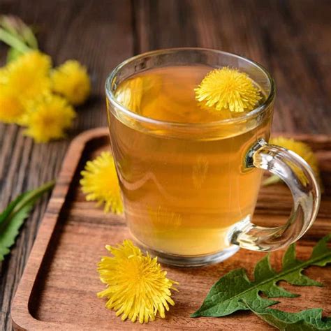 Dandelion Tea Recipe Homespun Seasonal Living