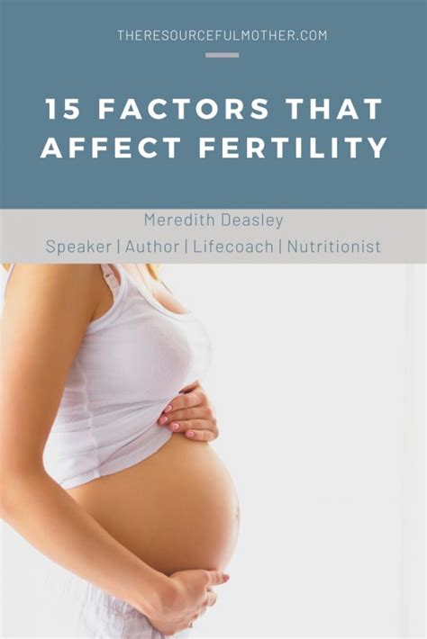 15 Factors That Affect Fertility The Resourceful Mother