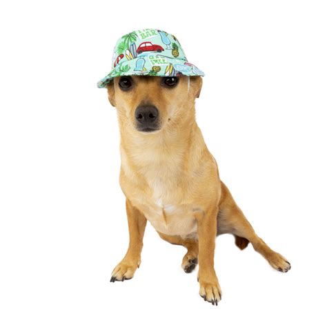 Vibrant Life Vacation Dog Bucket Hat Blue Mediumlarge